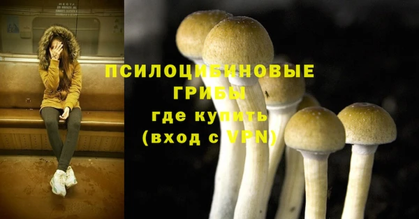 гидропоника Нефтекумск