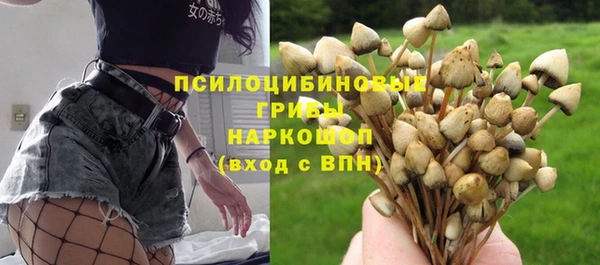 гидропоника Нефтекумск