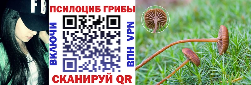 дарк нет клад Сычёвка Псилоцибиновые грибы Psilocybine cubensis